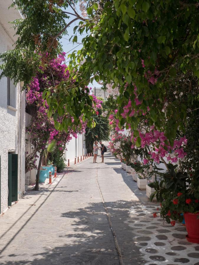 Terra Fos Naxos Studios Naxos City ภายนอก รูปภาพ